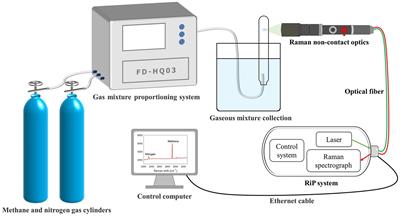 In situ Raman quantitative monitoring of methanogenesis: Culture experiments of a deep-sea cold seep methanogenic archaeon